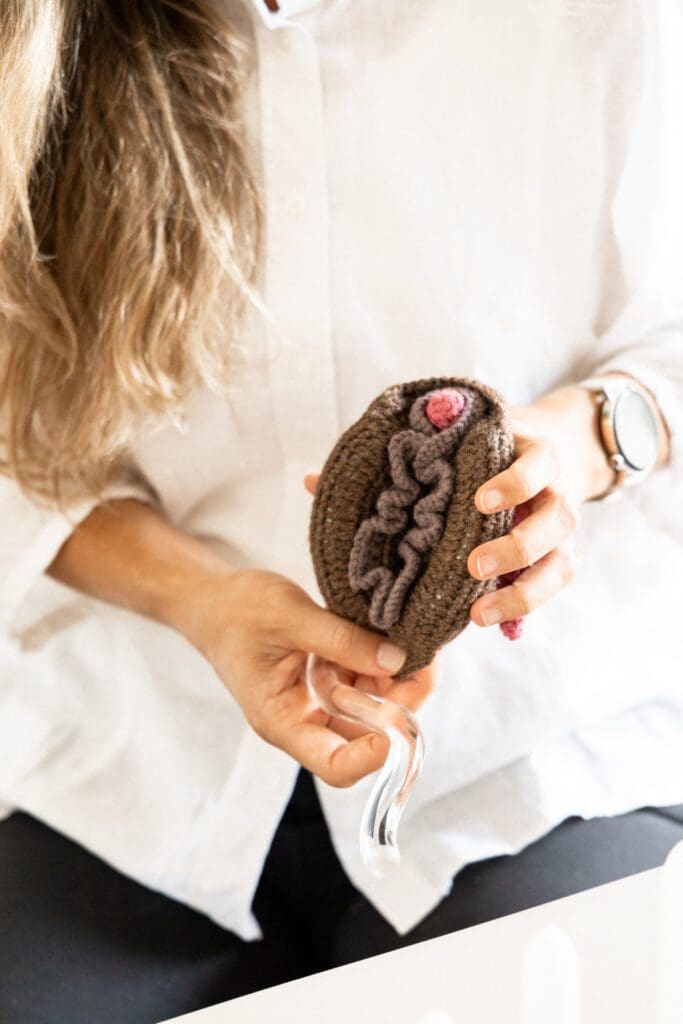anatomy of the vulva, educational model