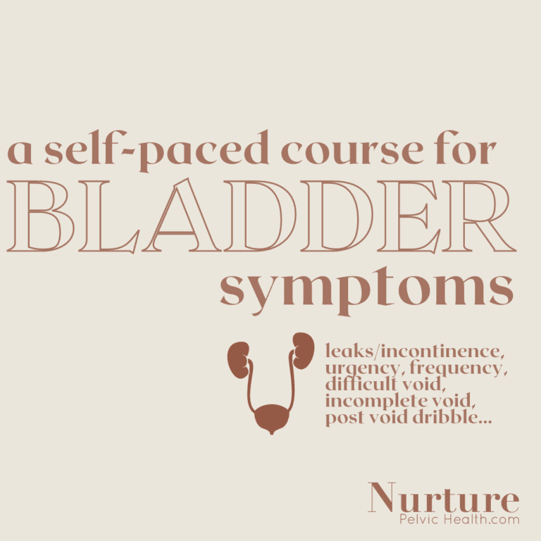 physio bladder course