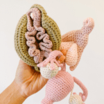 crochet anatomy pelvic health education