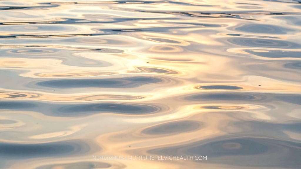 NPH Nurture hub blog cover image