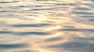 NPH Nurture hub blog cover image