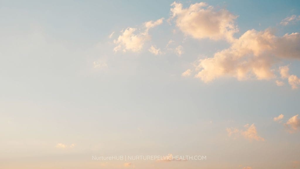 Nurture Hub banner pelvic health blog